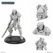 Knight of Golarion
