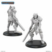 Knight of Golarion
